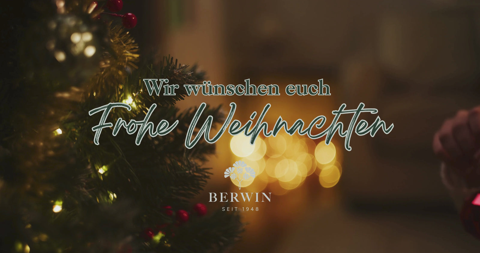 Frohe Weihnachten & einen Guten Rutsch
